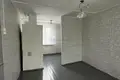House 30 m² Lasanski sielski Saviet, Belarus