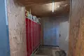 Apartment 550 m² Rydzyna, Poland