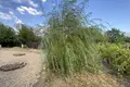 Haus 6 Schlafzimmer 1 200 m² Bezvoditsa, Bulgarien