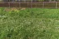 Grundstück  Uzdzienski sielski Saviet, Belarus