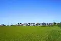 Wohnung 750 m² Oblaczkowo, Polen