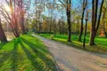 Земельные участки  Smolice, Польша