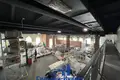 Producción 9 483 m² en Minsk, Belarús