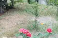 8 room house 250 m² Odesa, Ukraine