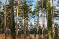 Дом 6 комнат 1 200 м² Юрмала, Латвия