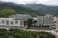 1 bedroom condo 42 m² Boreti, Montenegro