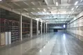 Almacén 3 170 m² en Puchkovo, Rusia