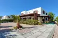 Villa de 4 habitaciones 206 m² Akanthou, Chipre del Norte