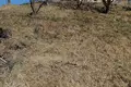 Дом 3 комнаты 64 м² Хатежинский сельский Совет, Беларусь
