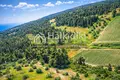 Atterrir 18 780 m² Siviri, Grèce