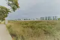 Atterrir 5 244 m² Elx Elche, Espagne