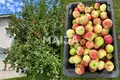 Дом 4 комнаты 100 м² Helsinki sub region, Финляндия
