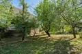 House 39 m² Nieharelski sielski Saviet, Belarus
