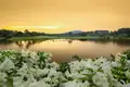 Complejo residencial Blue Canyon Heights