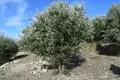 Land 1 room 45 m² Chamalevri, Greece