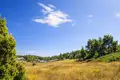 Atterrir 30 000 m² Kassandrino, Grèce