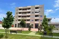 Wohnung 1 Schlafzimmer 42 m² Podgorica, Montenegro