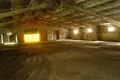 Propriété commerciale 209 m² à Pliechtchanitsy, Bélarus