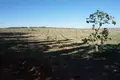 Дом  Гуардамар, Испания