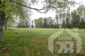 Wohnung 4 zimmer 79 m² Ludvinova, Belarus