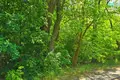 Grundstück  Smolice, Polen