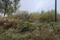 Land  Aliachnovicki sielski Saviet, Belarus