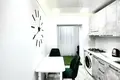 Appartement 1 chambre 28 m² Trynosy Osiedle, Pologne