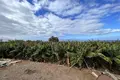 Parcelas  Canarias, Španjolska