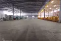 Warehouse 5 rooms 1 411 m² in Fanipalski sielski Saviet, Belarus