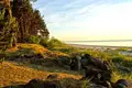 Land  Lapmezciems, Latvia