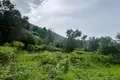 Земельные участки  Котор, Черногория