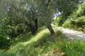 Земельные участки 1 комната  Municipality of Central Corfu and Diapontia Islands, Греция