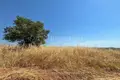 Land 14 000 m² Dionysiou, Greece
