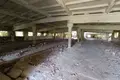 Commercial property 6 000 m² in Ovidiopol, Ukraine