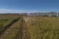 Land 59 000 m² Tepelevo, Russia