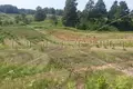 Parcelas 320 942 m² Opcina Krnjak, Croacia