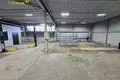 Propiedad comercial 222 m² en Minsk, Belarús