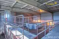 Zakład produkcyjny 3 322 m² Khvojniki, Białoruś