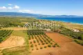 Parcelas 5 800 m² Agios Mamas, Grecia