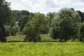 Grundstück  Vyhanicy, Belarus