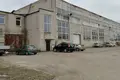 Propriété commerciale 2 050 m² à Bezdoniai Eldership, Lituanie