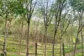 Земельные участки  Чонг Тале, Таиланд