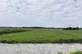 Land  Papiarnianski sielski Saviet, Belarus