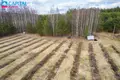 Land  Pavezupis, Lithuania