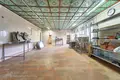 Zakład produkcyjny 92 m² Michanavicki sielski Saviet, Białoruś