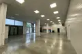 Propiedad comercial 944 m² en Riga, Letonia