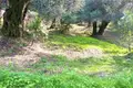 Parcelas 1 habitación  Kontokali, Grecia