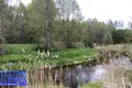 Дом 88 м² Налибокский сельский Совет, Беларусь