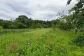 Grundstück  Radaskovicki sielski Saviet, Belarus