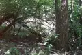 Land 1 room 7 050 m² Otwock, Poland